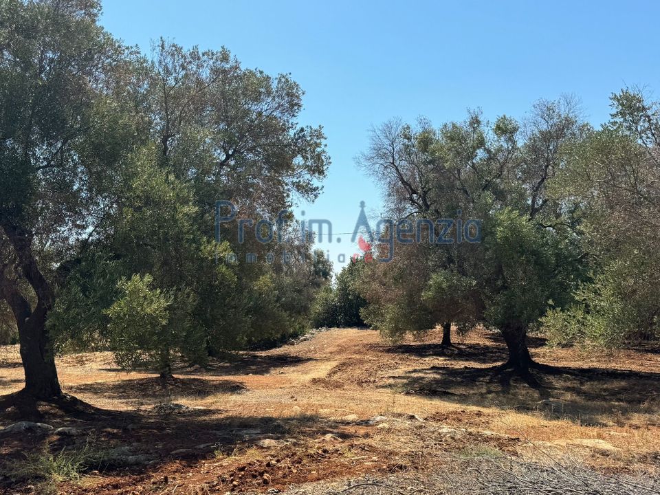 Helårsgrund i Carovigno, Brindisi - foto 5
